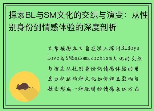 探索BL与SM文化的交织与演变：从性别身份到情感体验的深度剖析